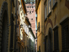 Torre Guinigi, seen from the narrow street below