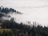 I'd have liked to go down to the edge of the fog - had to make do with extending the zoom...