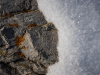 Close-up of a rock with more ice crystals